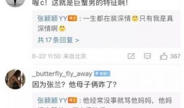 张颖颖爆料分析最新视频,事件真相与幕后黑幕