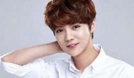 鹿晗最新爆料辟谣,揭秘最新爆料背后的真相