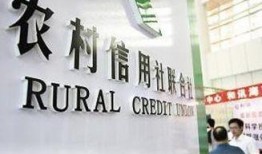 湖北农信社最新爆料,揭秘金融创新与风险防控新举措