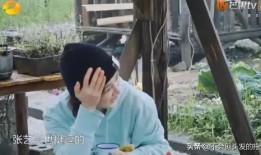 爆料李晟杨紫视频大全最新,甜蜜瞬间引网友热议